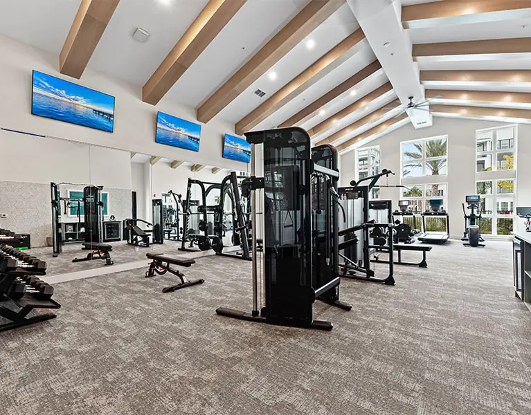 Aura Fitness