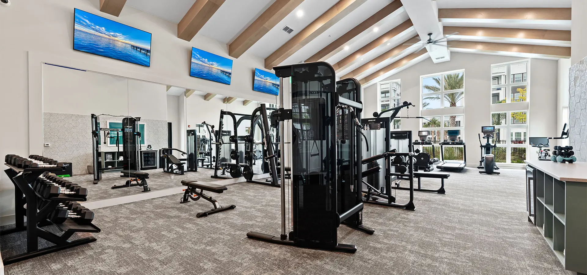 Aura Fitness