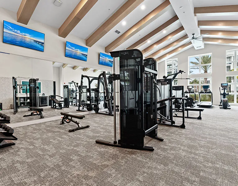 Aura amenities fitness